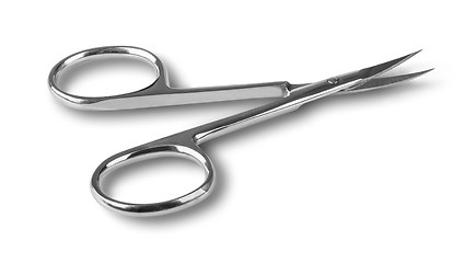 Image showing Disclosed professional nail scissors