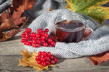 Image showing Black tea with a viburnum