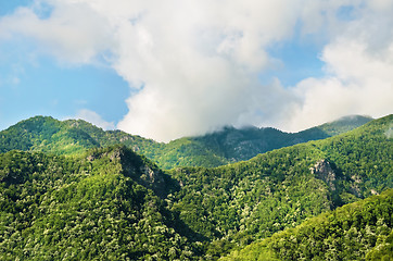 Image showing Carpathian Mountains