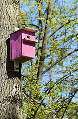 Image showing Bird House