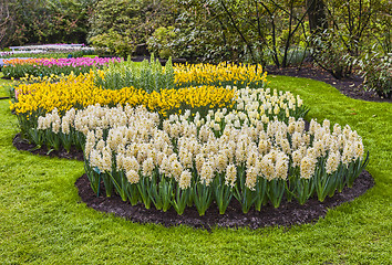 Image showing Flowers Garden