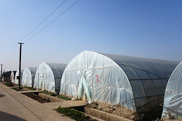 Image showing Large greenhouse for plants in the autumn