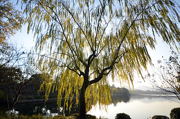 Image showing Landscape of West lake in Hangzhou, China