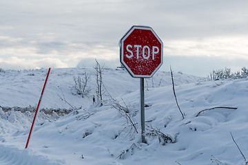 Image showing Snow covered stop sign