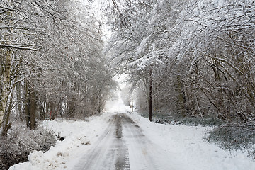 Image showing Snowy narrow country road