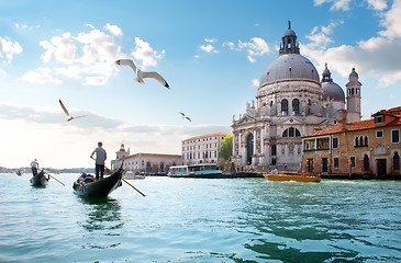 Image showing Gulls over Grand Canal