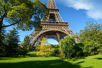 Image showing Trees in park of Paris