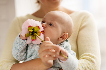 Image showing close up of mother and little baby boy with flower