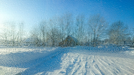 Image showing Picture of water drops on car window