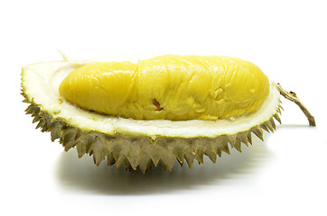 Image showing Durian fruit isolated on white background