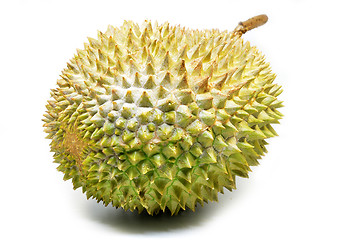 Image showing Durian fruit isolated on white background