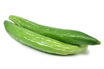 Image showing Snake gourd isolated