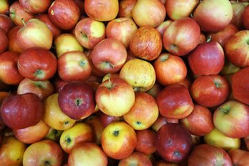 Image showing Red apples on sale