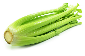 Image showing Bunch of celery sticks isolated