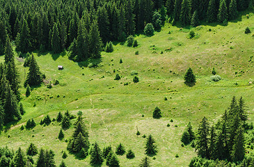 Image showing mountain forest and meadow summer landscape