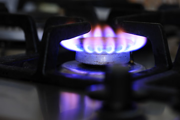 Image showing gas stove burner closeup