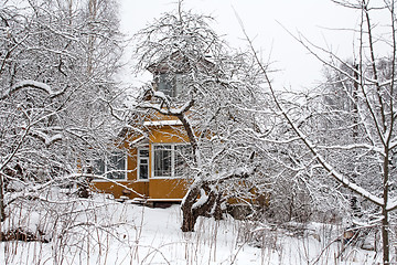 Image showing old villa in winter orchard