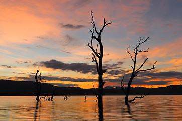 Image showing Sunset Outback NSW Australia