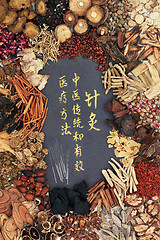 Image showing Acupuncture Therapy with Chinese Herbs