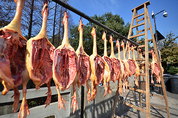 Image showing Rows of cured meat hanging to dry