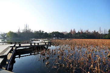 Image showing Winter on West Lake, Hangzhou.