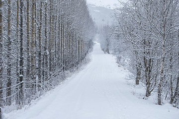 Image showing winter road