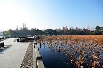 Image showing Winter on West Lake, Hangzhou.