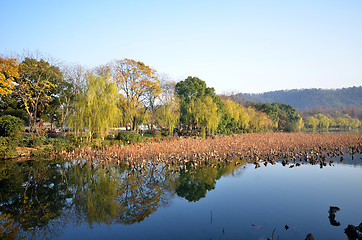 Image showing Landscape of West lake in Hangzhou, China