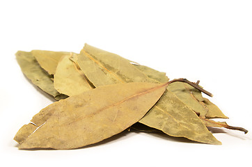 Image showing Dried bay leaves isolated 