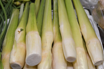 Image showing Fresh water bamboo shoot sold 