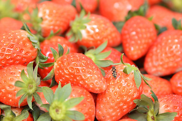 Image showing Fresh and red strawberries