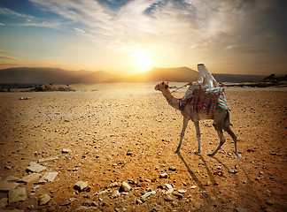 Image showing Journey in desert