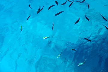 Image showing Background red sea