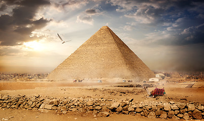 Image showing Big bird over pyramids