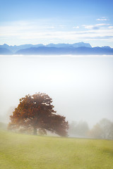 Image showing landscape covered in fog with the alps in the background