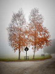 Image showing bavarian countryside scenery