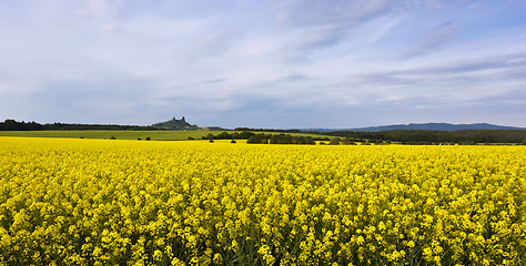 Image showing The landscape with ruin of castle and fields