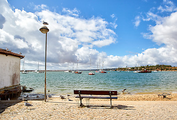 Image showing wooden bench and seagulls