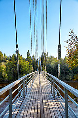 Image showing Cable-stayed bridge in Sigulda