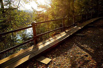 Image showing Wooden pathway in mountain park