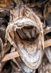 Image showing dried fish