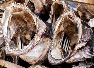 Image showing dried fish