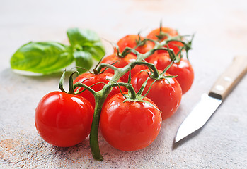 Image showing tomato