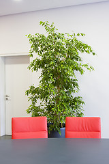 Image showing Two red chairs in a meeting room