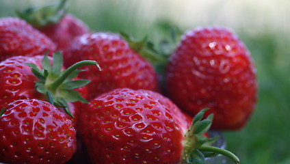 Image showing STRAWBERRY