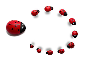 Image showing Abstraction from the circling ladybirds and one major as the con