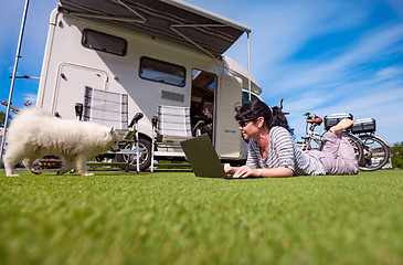 Image showing Woman on the grass with a dog looking at a laptop