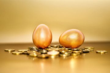 Image showing Gold coins and golden eggs, the concept of financial growth