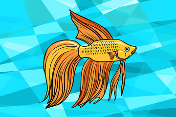 Image showing Cockerel aquarium fish