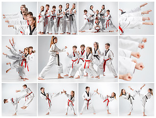 Image showing The studio shot of group of kids training karate martial arts